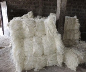 Gypsum material 100% rubber fibre natural raw bleached textile uv ug grade sisal fiber price