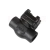 H11H-16C  Forged Steel Internal Thread Check Valve