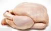HALAL FROZEN WHOLE CHICKEN AND PARTS.