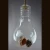 Import hanging glass light bulb vase with rope from China