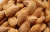 Import Health Tested Almond Nuts Available for Sale . from Germany