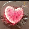 Heart Coconut Charcoal High Carbon Content Low Moisture Long Burning Time Premium Energy Black Charcoal Valentine Day