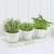 Import Herb Pot Planter with Tray for Indoor and Outdoor flower pot garden from China