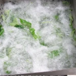 High efficiency automatic vegetable washer