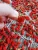 Import High Quality 100% Pure Natural Fresh Dried organic Goji berry from China