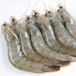 High Quality Frozen Vannamei White Shrimp available