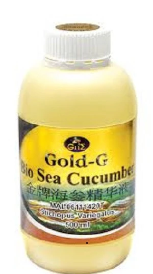 high quality Gold G Bio Sea Cucumber