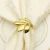 Import high quality  gold Metal leaf napkin ring from China