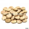 high quality Lupin Bean/ Lentils