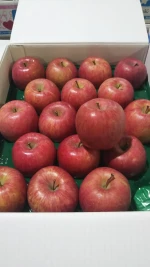 High quality organic bulk fresh San Fuji apples made in Japan