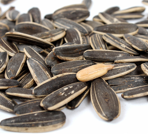 High Quality Sunflower Seeds In Shell