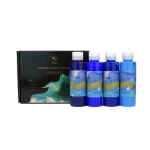 High quality with competitive price flow acrylic paint set cell fluid paint pouring silicone oil 24-color fluid acrylic paint