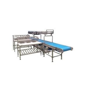 Highly Effective Chicken Slaughter Poultry Slaughtering Equipment Chicken Slaughter Line