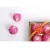 Import Home Wholesale Chocolate Gift Box Wedding Wedding Candy Chocolate from China