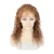 Import Hot Sale Human Hair Wigs Best Lace Front Wigs from China