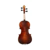 Hot sale Violin with Dragon Spruce Top Sunsmile Brand