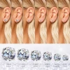 Hot Sales Huggies Quality S925 Silver Luxury Women D-Color vvs Moissanite Stud Earring 0.6CT-4CT