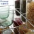Import Hot sales Kitchen Storage Accessories mesh storage Pull Out Basket from China