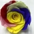 Import Hot sell flowers head five color and never die from China