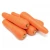 Import Hot Selling chinese New Crop sell sell fresh carrot from China