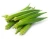 Import Hot selling Fresh Vegetables fresh Okra from South Africa