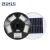Import Hot Selling Product Smd 2200k-6500k 150w 250w Beautiful Outdoor Led Solar Garden Light from China