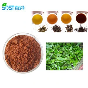 Hot Selling Weight Loss Instant Puer Tea Extract Powder