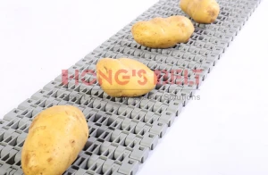 HS-1700B Flush Grid Heavy Duty Conveyor Plastic Belt For Fruit&Vegetable Cleaning