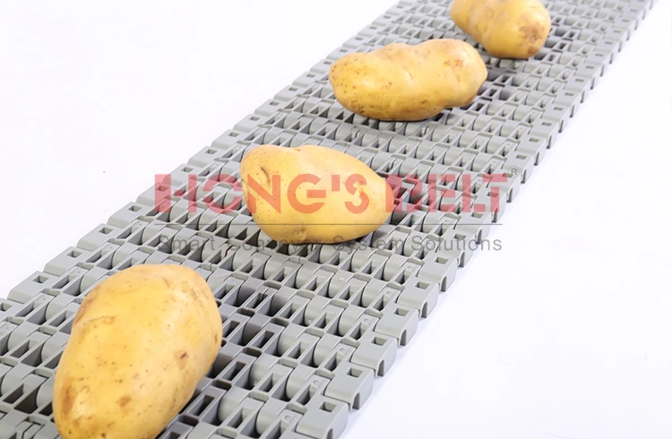HS-1700B Flush Grid Heavy Duty Conveyor Plastic Belt For Fruit&Vegetable Cleaning