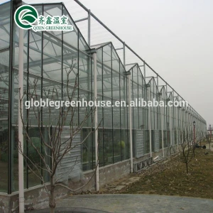 hydroponics greenhouse with glass greenhouse
