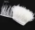 Import Import Feather 10-15cm Dyed White Ostrich Feather Trim Fringe Feather Trimming for Handbags, Garment from China