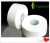 Import Jumbo Roll tissue paper/Sanitary toilet tissue/House toilet paper from China