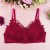 Import Lace Floral Embroidery Bralette Comfort Seamless Women Wireless Push Up Bra from China