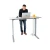 Import Latest Design Dual Motor Height Adjustable Desk  With 4 Memory Preset from China