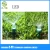 Import LED Sprinkler , Lawn/Garden Sprinkler,Built-in Small-scale Electric Power Courtyard Lawn Multi-color Automatic Lawn Water from China