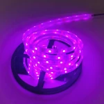 LED strips DC12V/ 24V IP20 IP65 IP67 IP68 rgb led strip 10mm width smd 5050 led strip light waterproof rgb