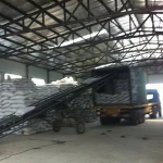 Liberica Coffee Beans
