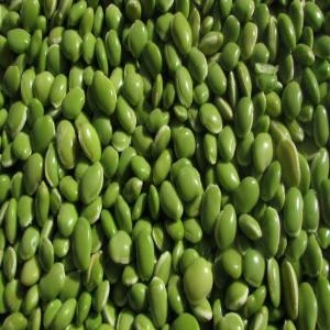 Lima organic Beans