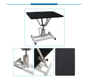 Lize Hydraulic lift pet dog beauty grooming  table