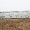 Low-Cost Commercial Plastic Film Multi-Span greenhouses