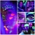 Import Makeup UV Eyeliner Nude Body Art Painting Rainbow Color Face Paint Costume Halloween and Club Makeup Art Paint from China
