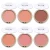 Import MISS ROSE 6 Colors Face Mineral Blush Powder Pigment Blusher Professional Palette Facial Contour Shadow Cosmetics from China