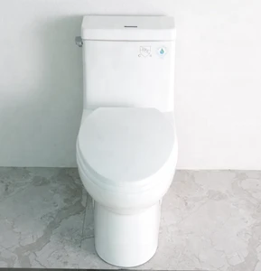 Modern High Quality Cupc Good Toilets  SA-2137