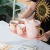 Import Modern Nordic Style Household Simple Tray Ceramic Teapot Coffee Cup Tea Set from China
