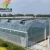 Import Multifunctional Polyethylene Film Green House Agriculture Modern Film Greenhouse Strawberry Planting Plastic Greenhouse from China