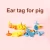 Import Multiple colors to choose from laser with words customizable pig ear tag for  animal ear tags from China