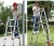 Import Multy purpose telescopic extention folding aluminum ladder from China