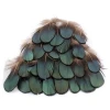 natural coper pheasant feather