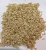 Import Natural White Sesame Seeds from Pakistan
