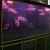 Import New arowana fish light IP65 LED aquarium tank lighting T5 LED light from China